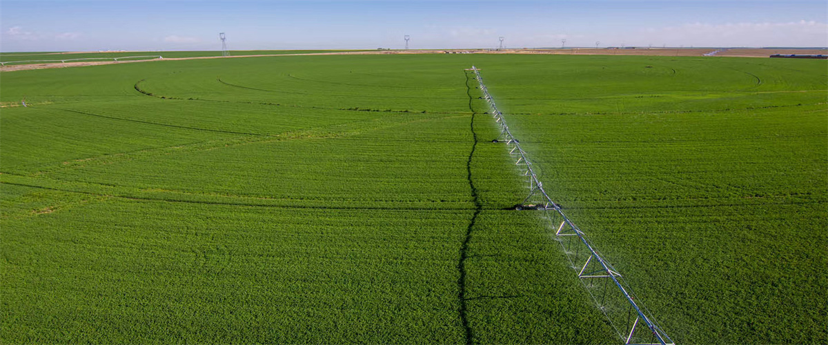 center pivot irrigation system 13