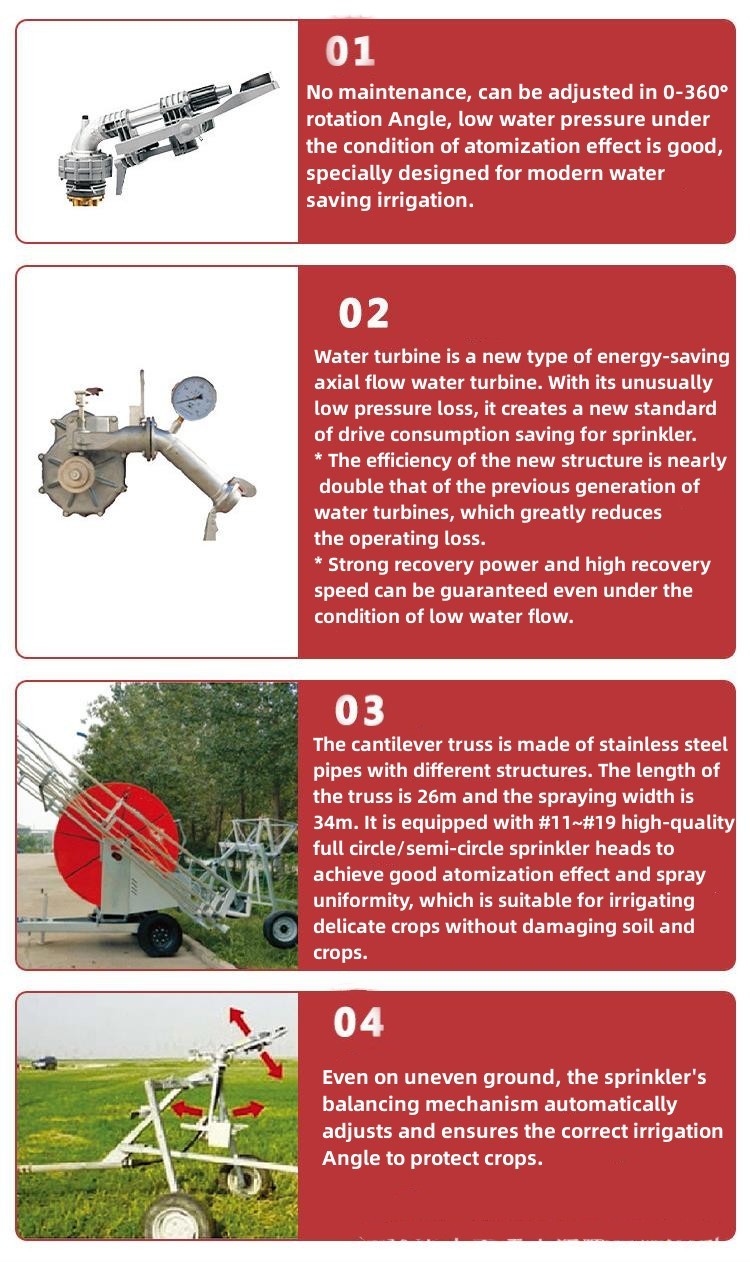 hose reel irrigation system 10