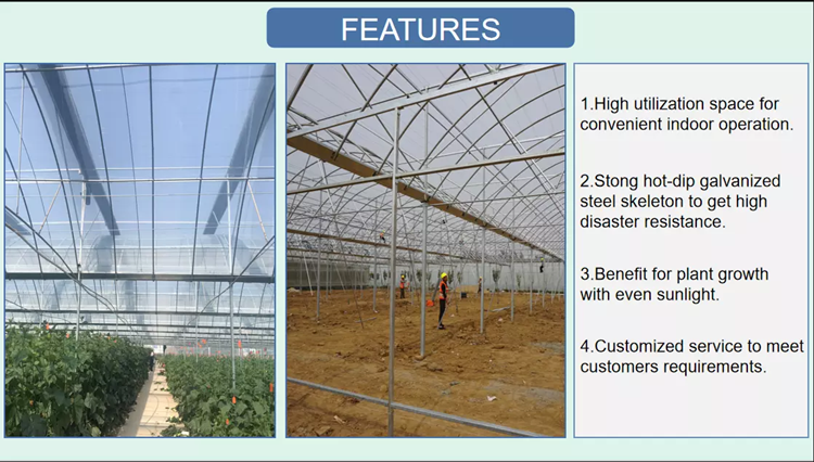 8. Greenhouse Features